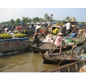 One Day Mekong Delta Tour (Cai Be - Vinh Long)